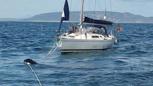 Las orcas vuelven a averiar veleros y ahora cogen los cabos cuando los remolcan