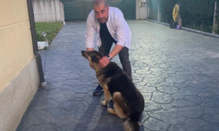 Un año después, se reencuentra en Lugo con su perra desaparecida: «En cuanto me vio, ya me reconoció»