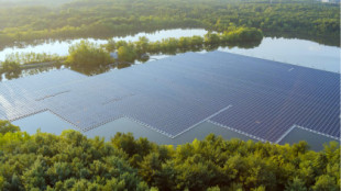 España apuesta por la fotovoltaica flotante en 106 embalses