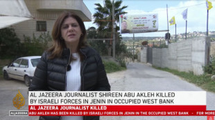 Israel mata de un tiro en la cabeza a la veterana corresponsal de Al Jazeera en Palestina