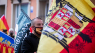 Una sentencia considera legal portar la bandera franquista en una manifestación