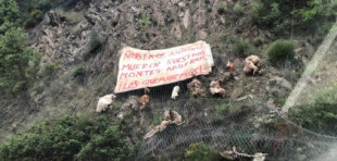 Árboles cortados y animales muertos en la carretera en Anguiano como protesta por el parque natural