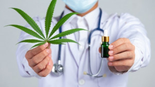 El Congreso podría regular el cannabis como uso medicinal el 23 de junio