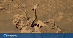 El Rover Curiosity halla unas estructuras parecidas a los árboles