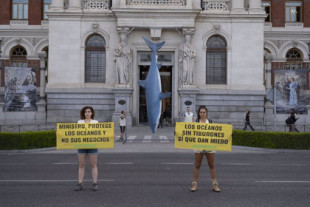 Greenpeace cuelga un "tiburón" de 5 metros de la puerta del Ministerio de Pesca para denunciar las capturas descontroladas