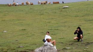 «Pisapraos», los comentarios más ridículos de turistas en Asturias