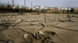 La sequía de la Cuenca del Guadalquivir es la más grave de España