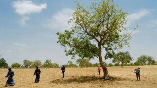 Cómo los agricultores del país más pobre de la Tierra han hecho crecer 200 millones de árboles