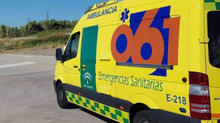 Herido grave un bebé de 14 meses en Almería tras ser mordido en la cara por un perro