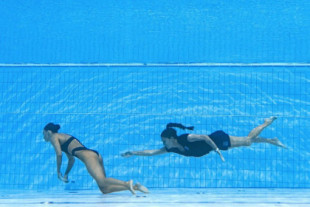 La inacción de los socorristas que complicó el rescate de la nadadora Anita Álvarez