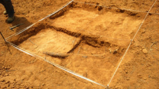 El yacimiento de El Pino salta al mapa internacional y certifica el uso de herramientas de hace un millón de años