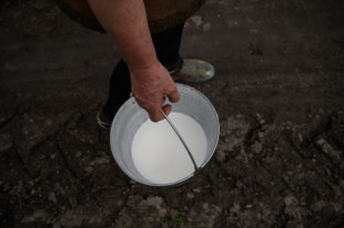 Ganaderos en guerra contra el cártel de la leche: "Se han enriquecido a costa de la gente trabajadora"
