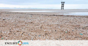 El mayor nido de plásticos de Europa lleva décadas en Tarragona: “Los repartimos por todo el Mediterráneo”