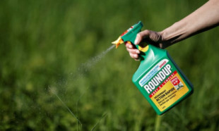 El glifosfato, un ingrediente de herbicida relacionado con el cáncer, se encuentra en el 80% de las muestras de orina de EE.UU. [ENG]