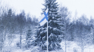 La red eléctrica de Finlandia deja helados a los finlandeses con este aviso de cara al invierno