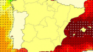 Los expertos alertan de la "tropicalización" del mar Mediterráneo: "Ya supera los 28 grados, como el Caribe"