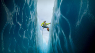 Dentro de un glaciar, un biólogo encuentra un dragón de hielo increíblemente raro