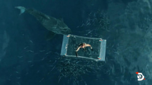 Vídeo capta el aterrador momento en que un tiburón blanco embiste a un buzo