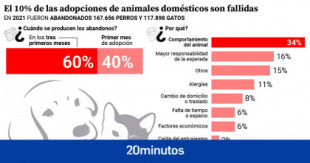 El 10% de los animales son devueltos en los tres primeros meses: "Para ellos es traumático porque no entienden lo que pasa"
