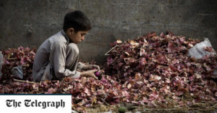 Un niño que trabajaba como sirviente en Pakistán es golpeado hasta la muerte por sus amos por robarles fruta [ENG]