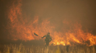 Greenpeace denuncia ante la Fiscalía la actuación de la Junta en el incendio de la Sierra de la Culebra