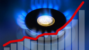 Tope al precio del gas: ¿qué es y cuánto cuesta?