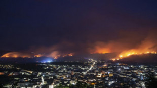 El incendio de Verín se programó para hacer colapsar los servicios de extinción