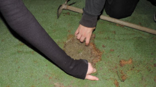 Activistas climáticos llenan hoyos de golf con cemento después de la exención de la prohibición del agua (EN)
