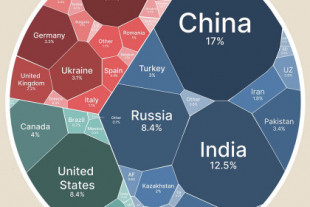 Los países que más trigo producen en todo el mundo, reunidos en este gráfico