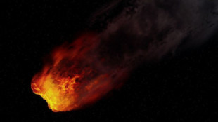 El asteroide que acabó con los dinosaurios llegó a la Tierra con un "hermano menor"