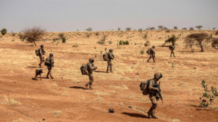 La Legión Extranjera francesa llega a Yemen para asegurar la instalación de gas (EN)