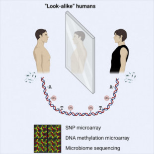 Los humanos parecidos identificados por algoritmos de reconocimiento facial muestran similitudes genéticas (IN)