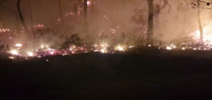 Hasta 102 bomberos luchan contra un incendio con cuatro focos en la Sierra de Segura