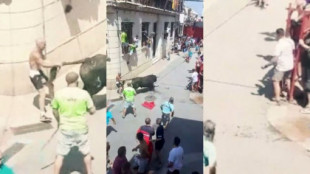 Mueren dos toros en Alcàsser a causa de las altas temperaturas en los festejos