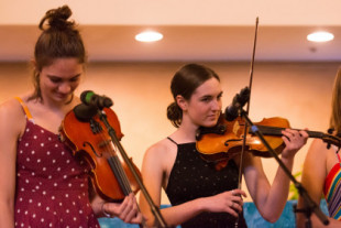 Diferencias y similitudes entre el fiddle y el violín