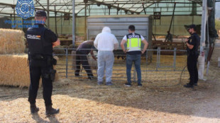 Detenidos por explotar a sus trabajadores con jornadas de hasta 24 horas en una granja