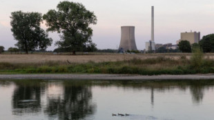 Greenpeace considera necesaria la reactivación de las centrales eléctricas de carbón[DE]