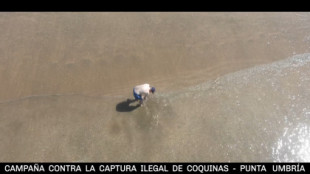Un dron con megafonía alerta a los que cogen coquinas de forma ilegal en las playas de Punta Umbría