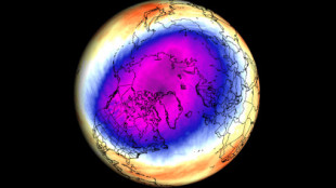 Un vórtice polar está emergiendo ahora en la estratosfera sobre el Polo Norte y afectará al clima a medida que nos acerquemos al invierno 2022/2023 (Eng)