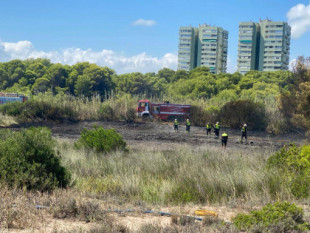La Guardia Civil investiga el incendio del Saler tras el vídeo publicado por un concejal de Vox en el que se ve cómo empieza