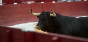 Tragedia en la primera corrida de la Feria de Murcia al morir corneado un carnicero de la plaza