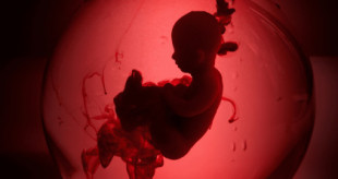 Ectogénesis, la nueva tecnología que permitirá desarrollar embriones en úteros artificiales