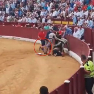 Patadas e insultos: así redujeron al animalista que saltó a la Plaza de Toros de Murcia