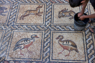 Mosaicos bizantinos descubiertos en una granja en Gaza [ENG]