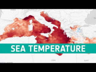 El Mar Mediterráneo sufrió este verano una ola de calor marina particularmente extrema