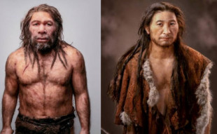 ¿Una simple mutación exterminó a los neandertales?