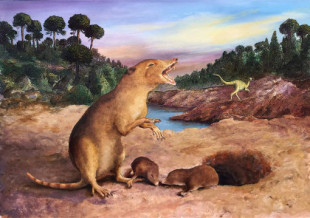 Identifican al mamífero más antiguo conocido