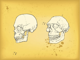 Una pequeña mutación genética nos hizo más inteligentes que los neandertales