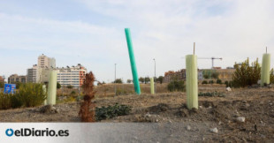 La “mayor campaña de plantación de la historia” de Madrid acaba con miles de árboles muertos