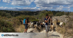 Javier, el pastor de 20 años que lleva su rebaño de cabras a la universidad